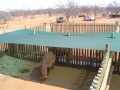 RHINO BOMA(1)