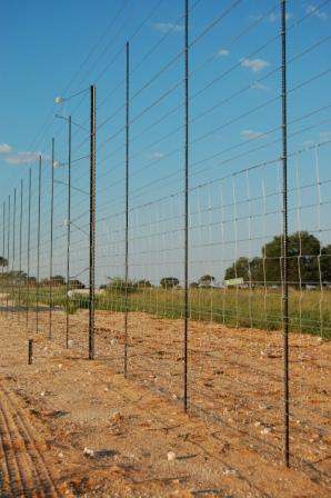 BIG FIVE GAME FENCE