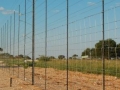 BIG FIVE GAME FENCE