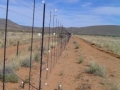 KALAHARI GAME FENCE(2)