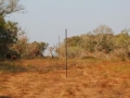 LINING UP THE FENCE - MOZAMBIQUE