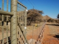 ROCK PACKED PREDATOR FENCE